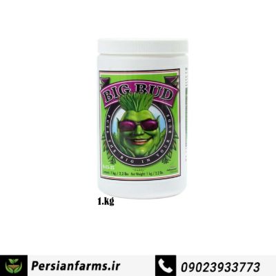 Big Bud-Powder پودر بیگ باد 1kg