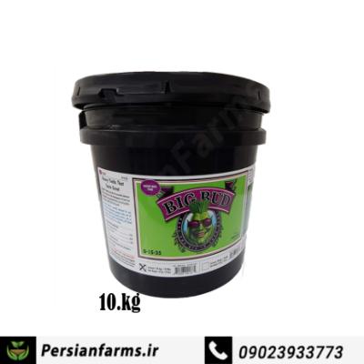 Big Bud-Powder پودر بیگ باد 10kg