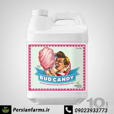 Bud Candy بادکندی 10 لیتر