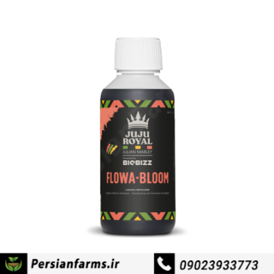 Flowa Bloom