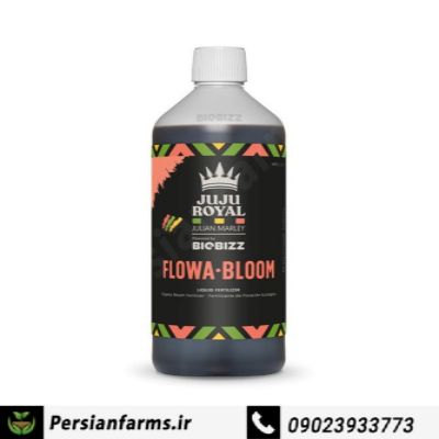 Flowa Bloom